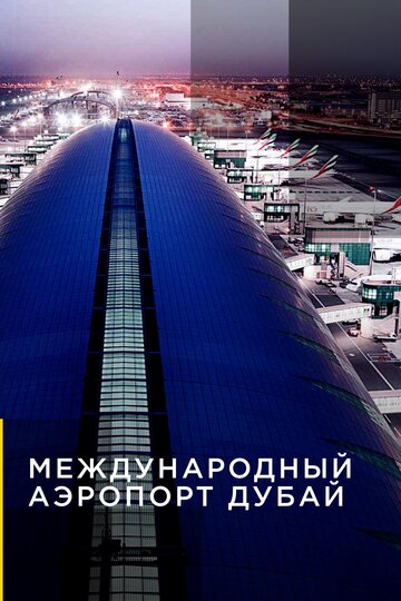 Смотреть Международный аэропорт Дубай (2013) онлайн в Хдрезка качестве 720p