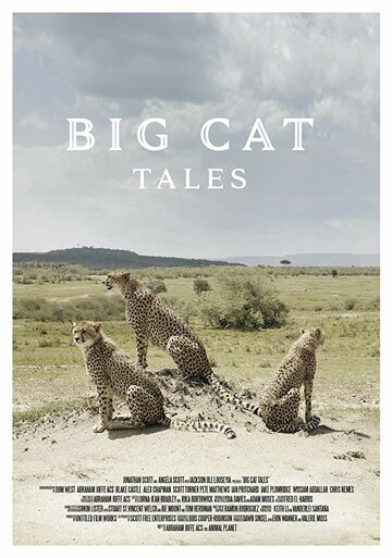 Смотреть Big Cat Tales (2018) онлайн в Хдрезка качестве 720p